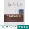 吉林树木图志 5326 中国林业出版社  科技 商品缩略图0