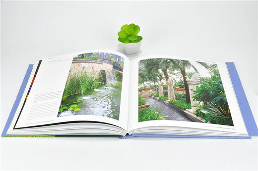 旅游导向式主题地产景观 9797 景观设计书 中国林业出版社 畅销书 商品图3