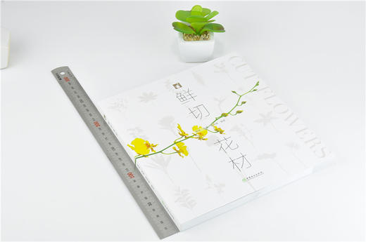 套装 实用花艺色彩 +鲜切花材 2本一套 扎花插花教程分解步骤书 月季康乃馨菊花等市场主打花材 保鲜方法 畅销书 商品图2