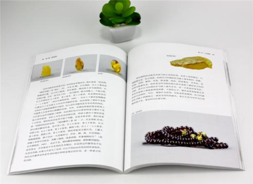 琥珀 行家带你选 9980 姚江波 段时代 辨真伪 评价值 为收藏 中国林业出版社 正版畅销书 商品图3