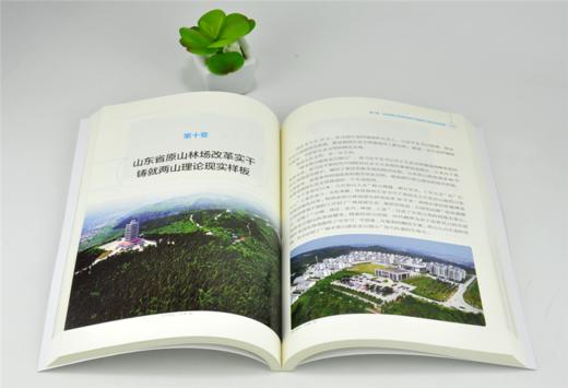 推进绿色发展实现全面小康 第2版 0204 商品图3