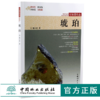 琥珀 行家带你选 9980 姚江波 段时代 辨真伪 评价值 为收藏 中国林业出版社 正版畅销书 商品缩略图0