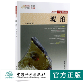 琥珀 行家带你选 9980 姚江波 段时代 辨真伪 评价值 为收藏 中国林业出版社 正版畅销书