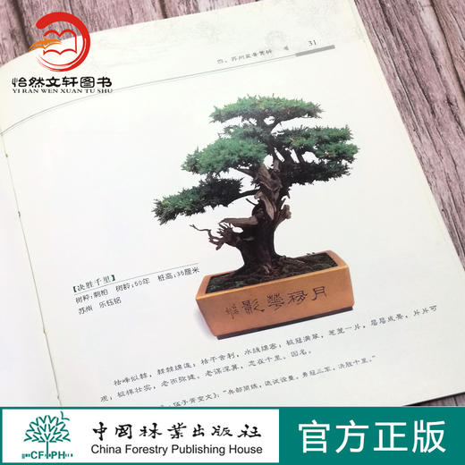 苏州盆景 4034 邵忠编 盆景造型特点和艺术手法 苏州树桩盆景制作 苏州盆景赏析 盆景艺术 中国林业出版社 盆景书籍 商品图1