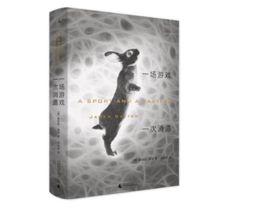 《一场游戏一次消遣》#此商品参加第十一届北京惠民文化消费季 商品图0