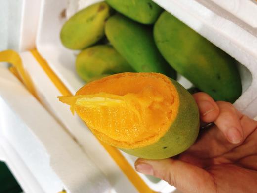 绿皮金煌芒一箱（拼团） 商品图2