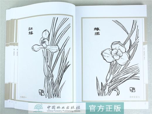 正版包邮 中国兰花古籍注译丛书全4册 第一香笔记 兰言述略 艺兰四说 兰蕙镜 兰花书籍大全 养兰 鉴赏 书籍 商品图2