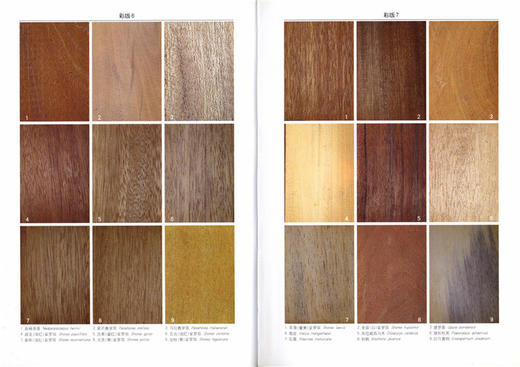 东南亚热带木材 5142 科技木识别鉴定 树木分布 构造 裸子被子植物 中国林业出版社正版畅销书 商品图3