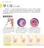 (仓发) 协和专家孕产大百科/江苏凤凰科学技术出版社/李宁，等/9787553767857 商品缩略图2