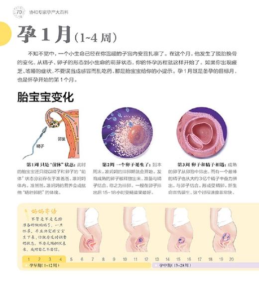 (仓发) 协和专家孕产大百科/江苏凤凰科学技术出版社/李宁，等/9787553767857 商品图2
