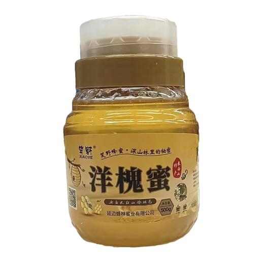 XIAOYE 장백산아카시아꿀500g 商品图0