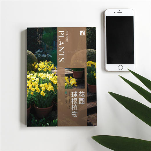 花园球根植物 9807 花卉培育 什么是球根植物 如何栽植球根植物 种球挑选与载后养护 球根植物病虫害防治 植物造景方法 基础知识书 商品图1