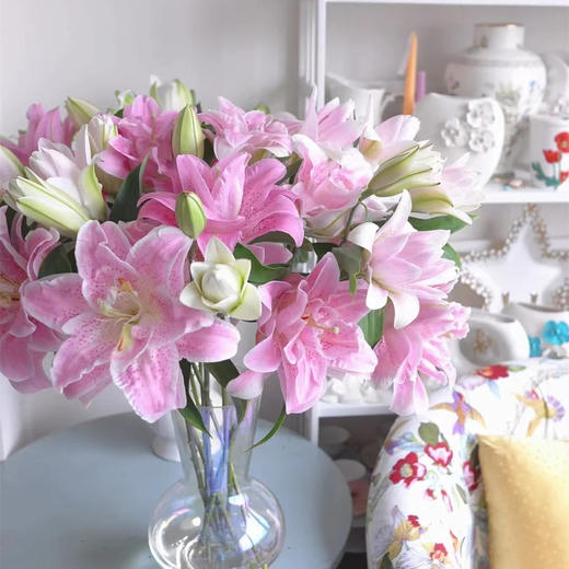 粉拉菲多头重瓣百合3支 商品图1
