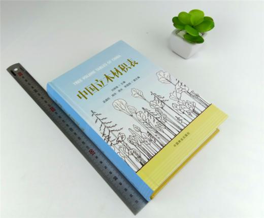 中国立木材积表 8935 林业生产经营 森林资源管理 林业稽查执法 林业科研教学 参考学习 中国林业出版社 畅销书 商品图1