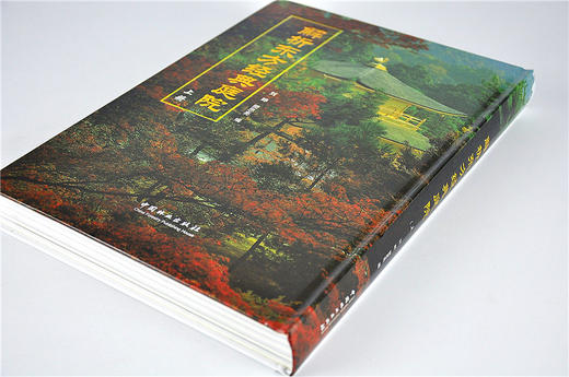 解析东方经典庭院 上 9270 日式古典园林建筑精华解读 京都寺庙阁楼皇家园林 日本景观日式景观设计 中国林业出版社官方直营畅销书 商品图2