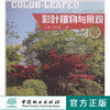 彩叶植物与景观7655 植物与景观丛书中国林业出版社正版畅销书籍 商品缩略图0