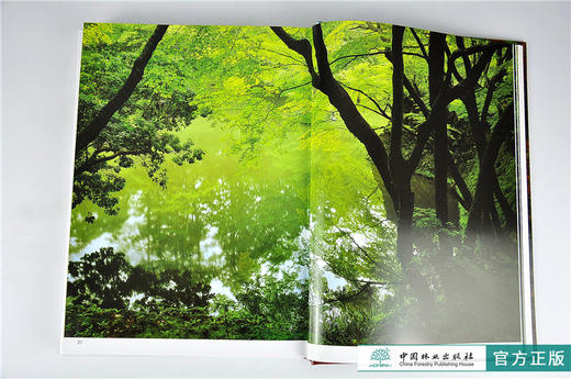 解析东方经典庭院 上 9270 日式古典园林建筑精华解读 京都寺庙阁楼皇家园林 日本景观日式景观设计 中国林业出版社官方直营畅销书 商品图4