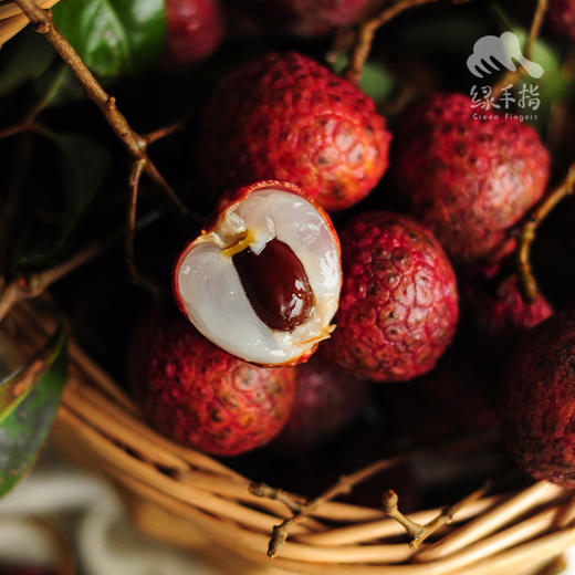 生态槐枝荔枝 | 合作生产 * Eco-litchi | Coproduction 商品图2