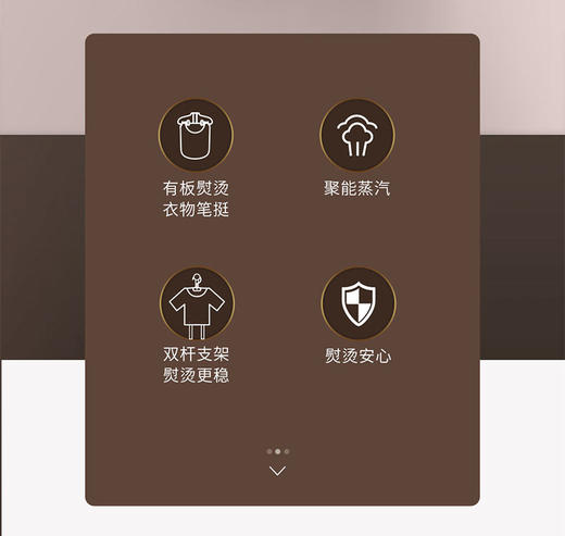 莱克挂烫机GT307家用烫衣服高温蒸汽杀菌双杆小型熨斗商用熨烫机 商品图1