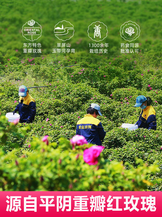 玫瑰花冠口杯花茶独立包装（20个起包邮） 商品图3