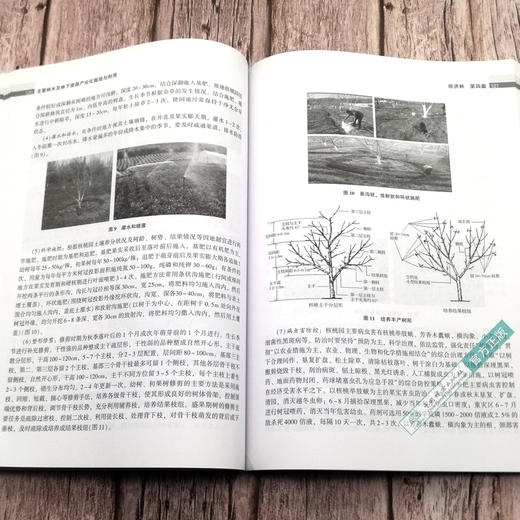 现货 主要林木及林下资源产业栽培与利用 0574 中国林学会 编 林业资源 农业产业化 中国林业出版社 商品图3