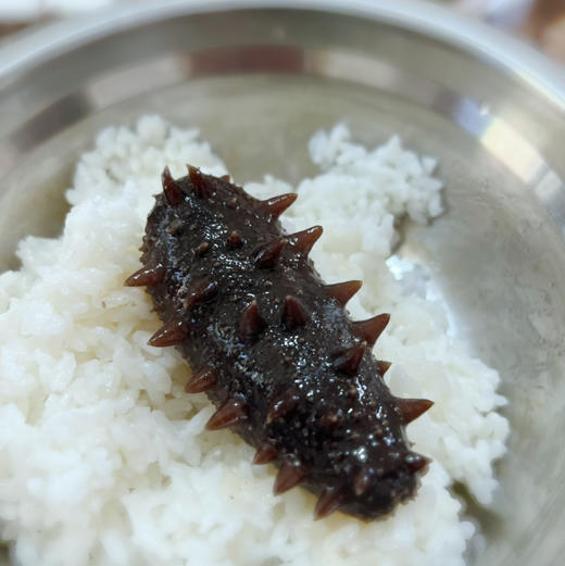 国家地理标识产品【长岛野生拉缸盐海参】拉缸盐半湿海参 圈海4年未动，检测通过了无重金属和无核辐射 无农残报告 生态海域，传统工艺、海参界的爱马仕！可泡发三倍以上! 商品图8