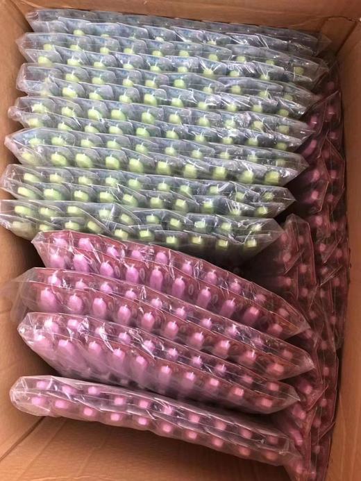 儿童牙刷 商品图3