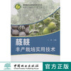 核桃丰产栽培实用技术 中国林业出版社5941  科技 商品缩略图0