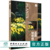 花园球根植物 9807 花卉培育 什么是球根植物 如何栽植球根植物 种球挑选与载后养护 球根植物病虫害防治 植物造景方法 基础知识书 商品缩略图0