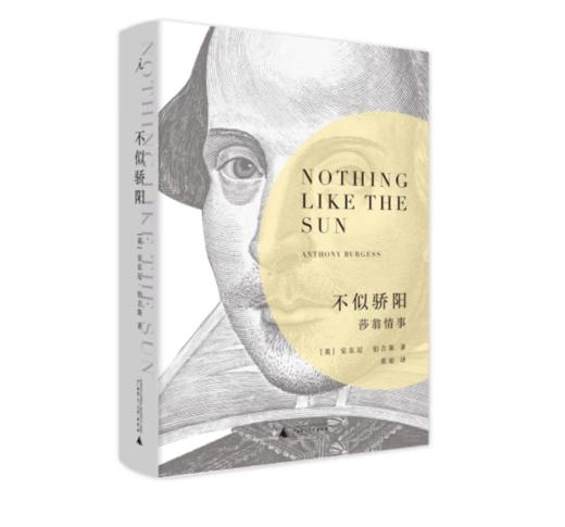 《不似骄阳: 莎翁情事》#此商品参加第十一届北京惠民文化消费季 商品图0