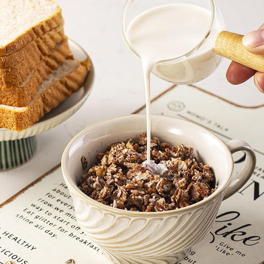 【粗粮代餐】怡小佳高纤即食黑麦片即冲即食百搭吃法轻食人士的优选 商品图4
