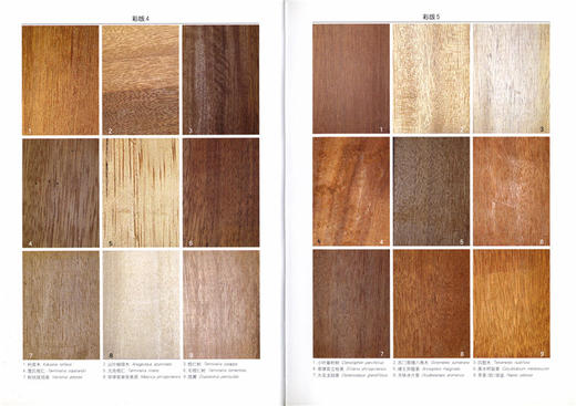 东南亚热带木材 5142 科技木识别鉴定 树木分布 构造 裸子被子植物 中国林业出版社正版畅销书 商品图1