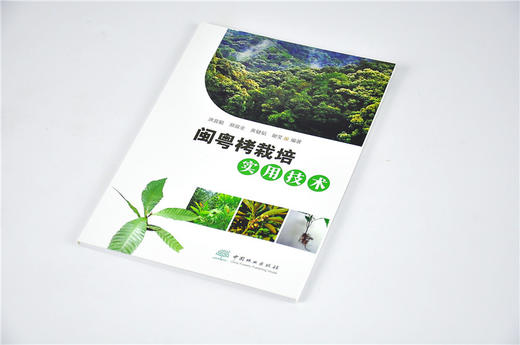 闽粤栲栽培实用技术 洪宜聪 编著 9608 中国林业出版社 畅销书籍 商品图2