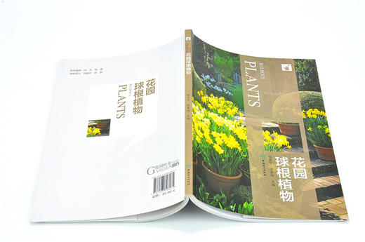 花园球根植物 9807 花卉培育 什么是球根植物 如何栽植球根植物 种球挑选与载后养护 球根植物病虫害防治 植物造景方法 基础知识书 商品图4
