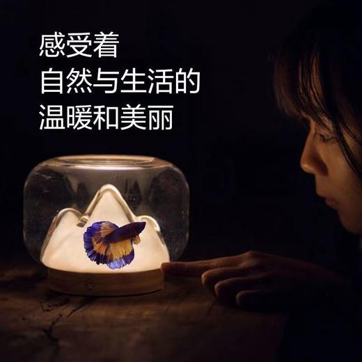 【女生无法拒绝的礼物】文艺暖山雪山鱼缸 创意氛围灯可充电床头小夜灯创意礼物玻璃鱼缸高颜值 商品图4