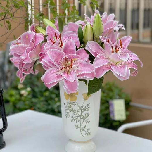 粉拉菲多头重瓣百合3支 商品图2