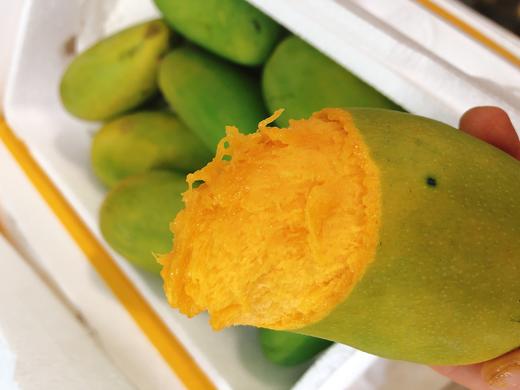 绿皮金煌芒一箱（拼团） 商品图1