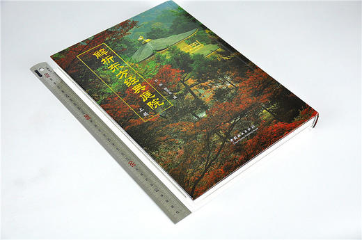 解析东方经典庭院 上 9270 日式古典园林建筑精华解读 京都寺庙阁楼皇家园林 日本景观日式景观设计 中国林业出版社官方直营畅销书 商品图1