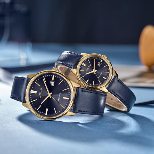 西铁城日本官方正品时尚简约表盘皮带光动能情侣女士手表EW2662-19L 商品图2