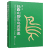 长白山野生鸟类图鉴 周树林 收录野生鸟类326种 1371 中国林业出版社 商品缩略图1
