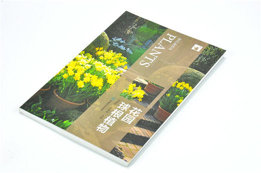 花园球根植物 9807 花卉培育 什么是球根植物 如何栽植球根植物 种球挑选与载后养护 球根植物病虫害防治 植物造景方法 基础知识书 商品图3