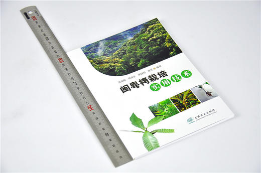 闽粤栲栽培实用技术 洪宜聪 编著 9608 中国林业出版社 畅销书籍 商品图1
