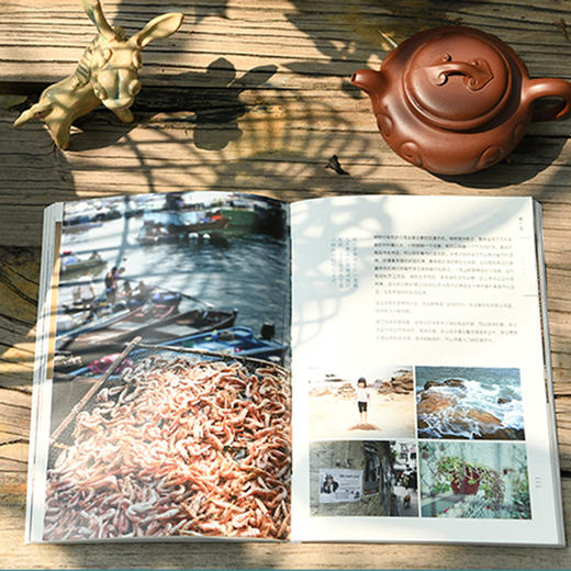 自提书籍  仅限汕头地区  小林漫画     【遇见中国  】  小林旅行摄影笔记  记住现在 留给未来 致我们不曾错过的风景 商品图1