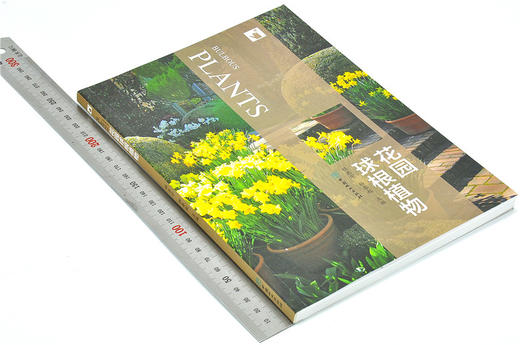 花园球根植物 9807 花卉培育 什么是球根植物 如何栽植球根植物 种球挑选与载后养护 球根植物病虫害防治 植物造景方法 基础知识书 商品图2