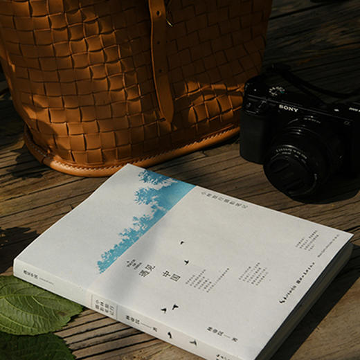 自提书籍  仅限汕头地区  小林漫画     【遇见中国  】  小林旅行摄影笔记  记住现在 留给未来 致我们不曾错过的风景 商品图3