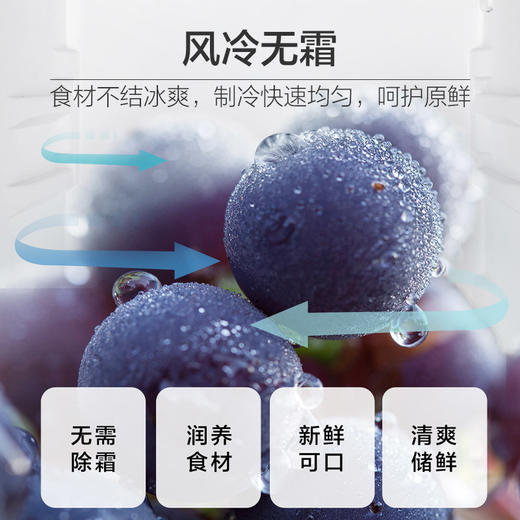 海尔(Haier)190升风冷无霜两门冰箱双门小型迷你家用净味彩晶玻璃宿舍租房小型冰箱BCD-190WDCO 商品图3