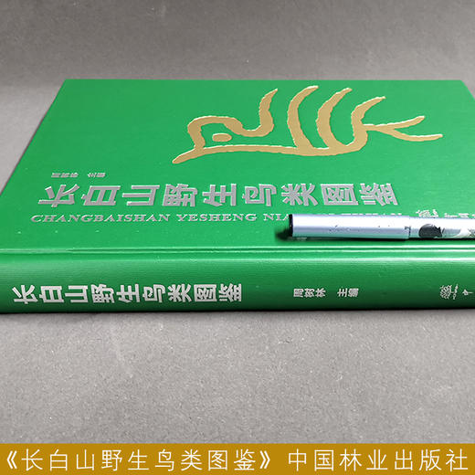 长白山野生鸟类图鉴 周树林 收录野生鸟类326种 1371 中国林业出版社 商品图3