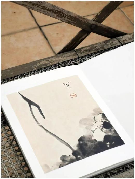 《荣宝斋藏册页选》，全8册，大16开，册页，八大山人、齐白石、赵之谦等绘，荣宝斋出版社2009年，定价880，售价328元。品相9成左右。函套或有破损。

全书收录荣宝斋珍藏的丁元公、陆㬙、八大山人、 商品图8