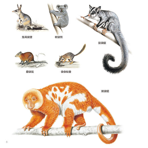 《中国少儿博物百科：3D图解世界》（全12册） 商品图5