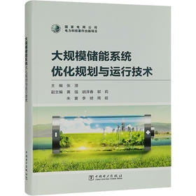 大规模储能系统优化规划与运行技术